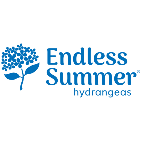 Endless Summer® The Original Reblooming Hydrangea - Image 7