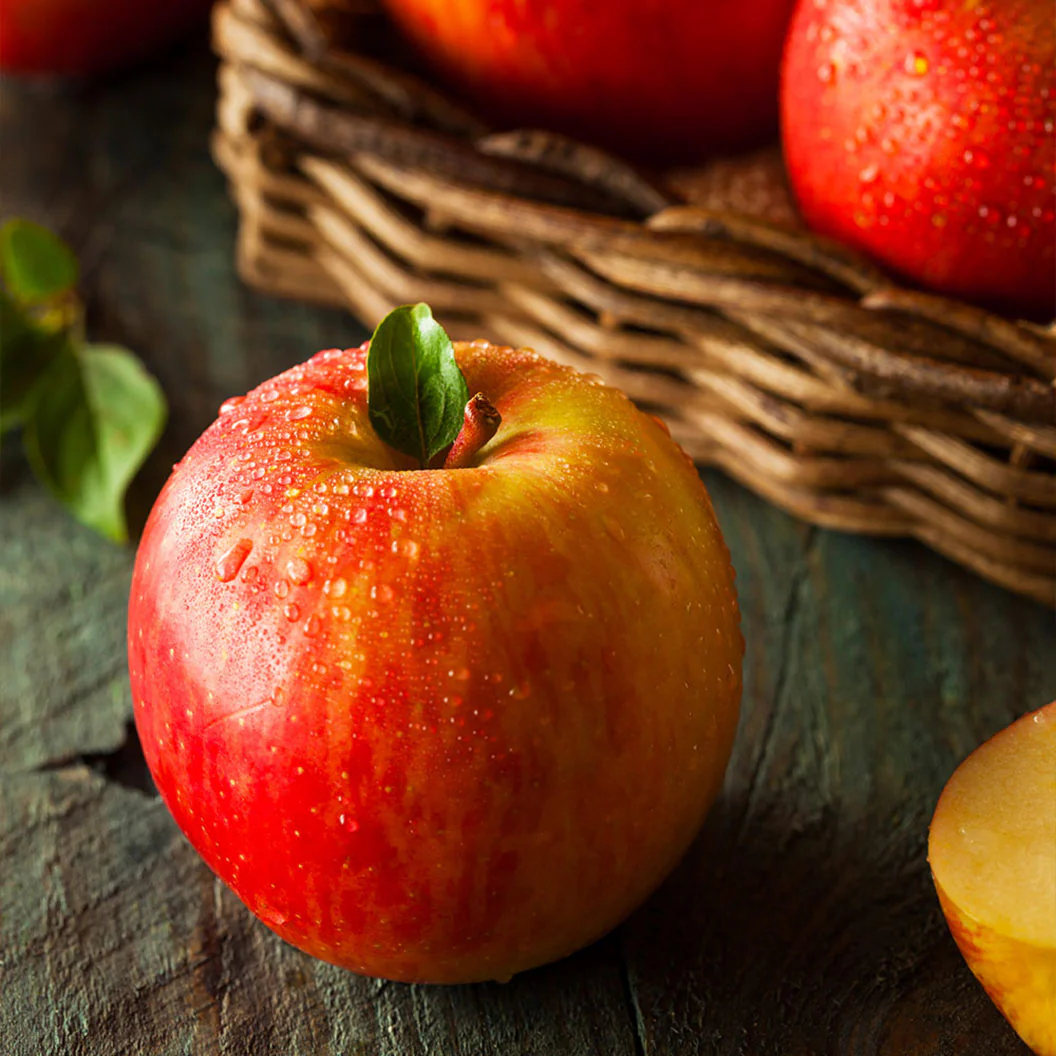 Most Popular Edible Trees