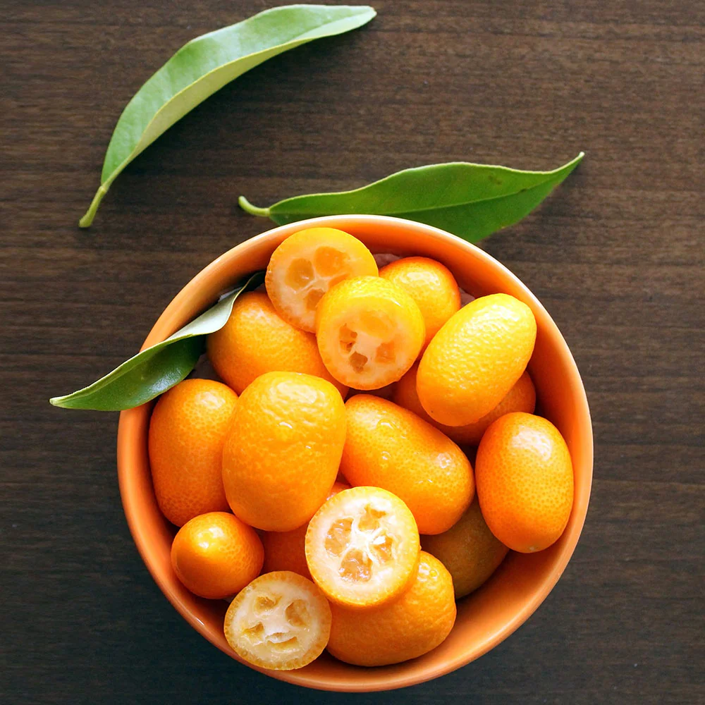 Nagami Kumquat Tree - Image 7