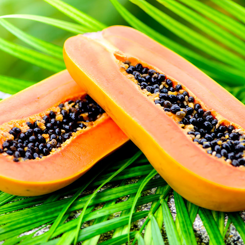 Papaya Tree - Image 6
